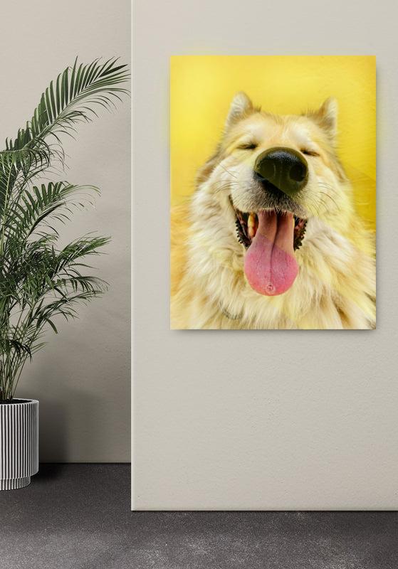 Evcil Hayvan Tablosu - Cam Tablo